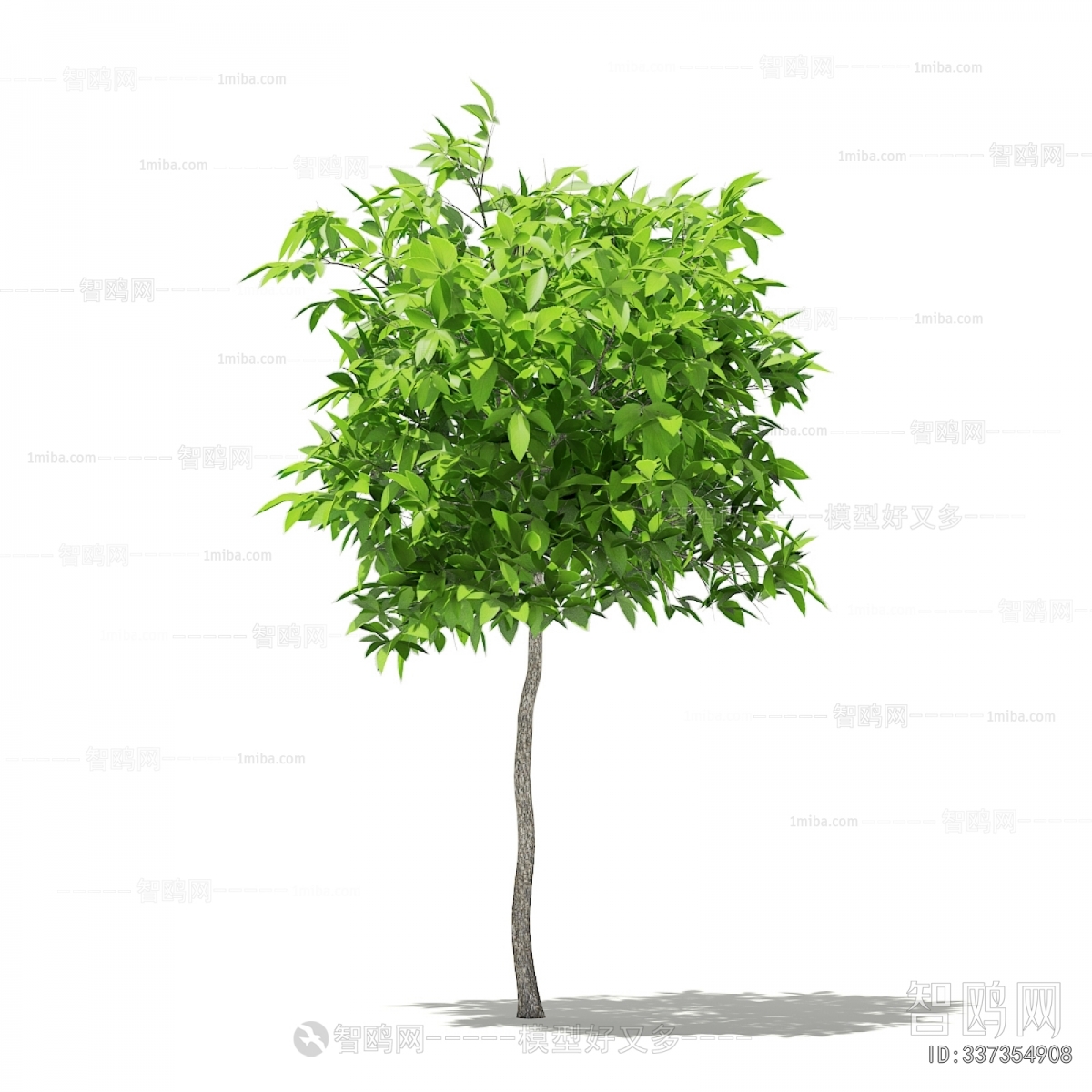 Modern Tree