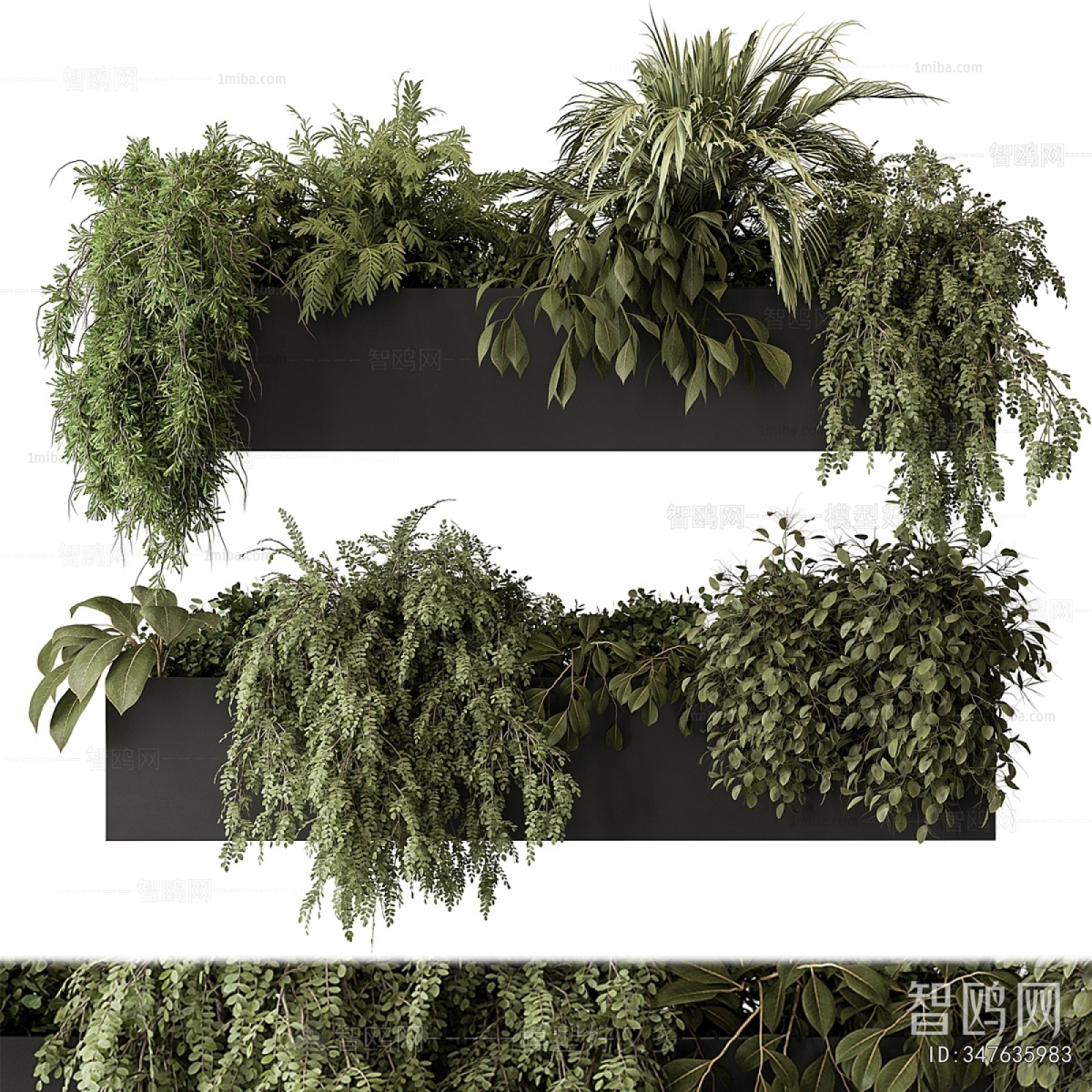 Modern Flower Bed, Flower Bowl, Flower Box