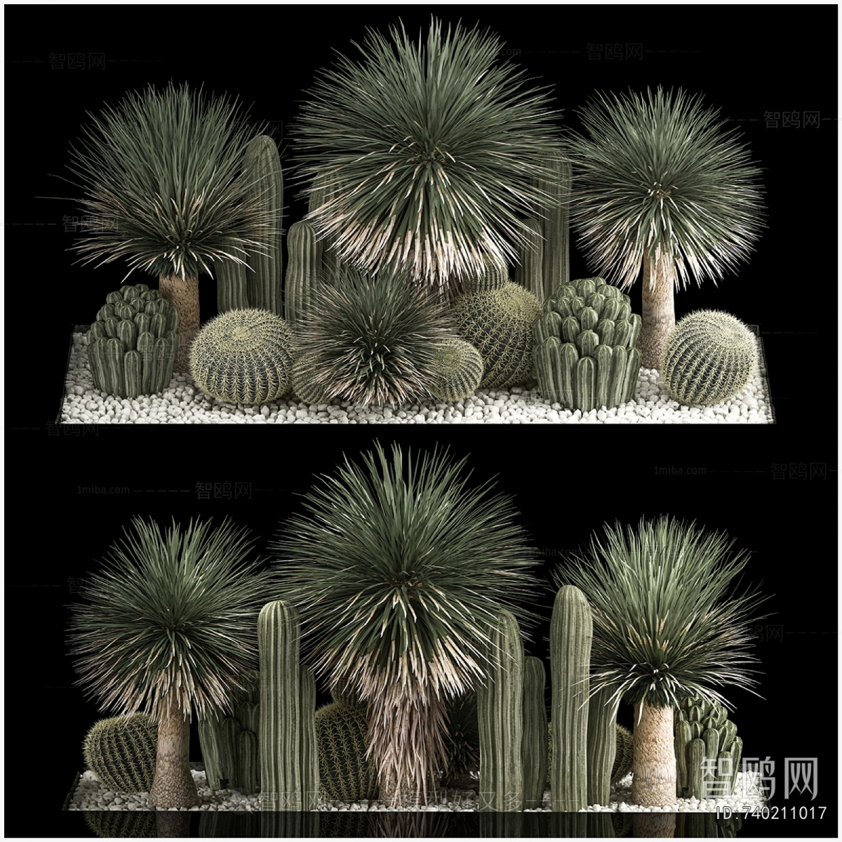 Modern Plant Landscaping