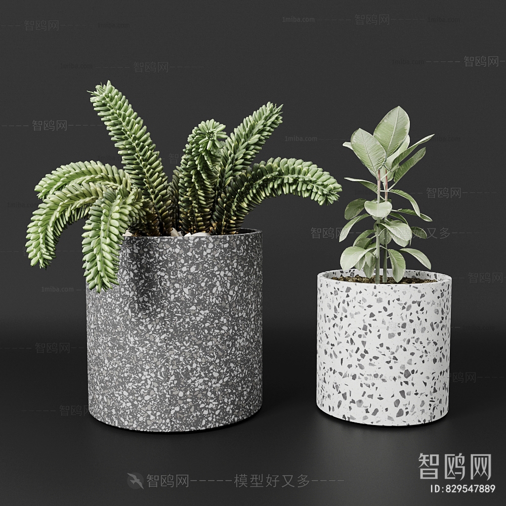 Modern Potted Green Plant