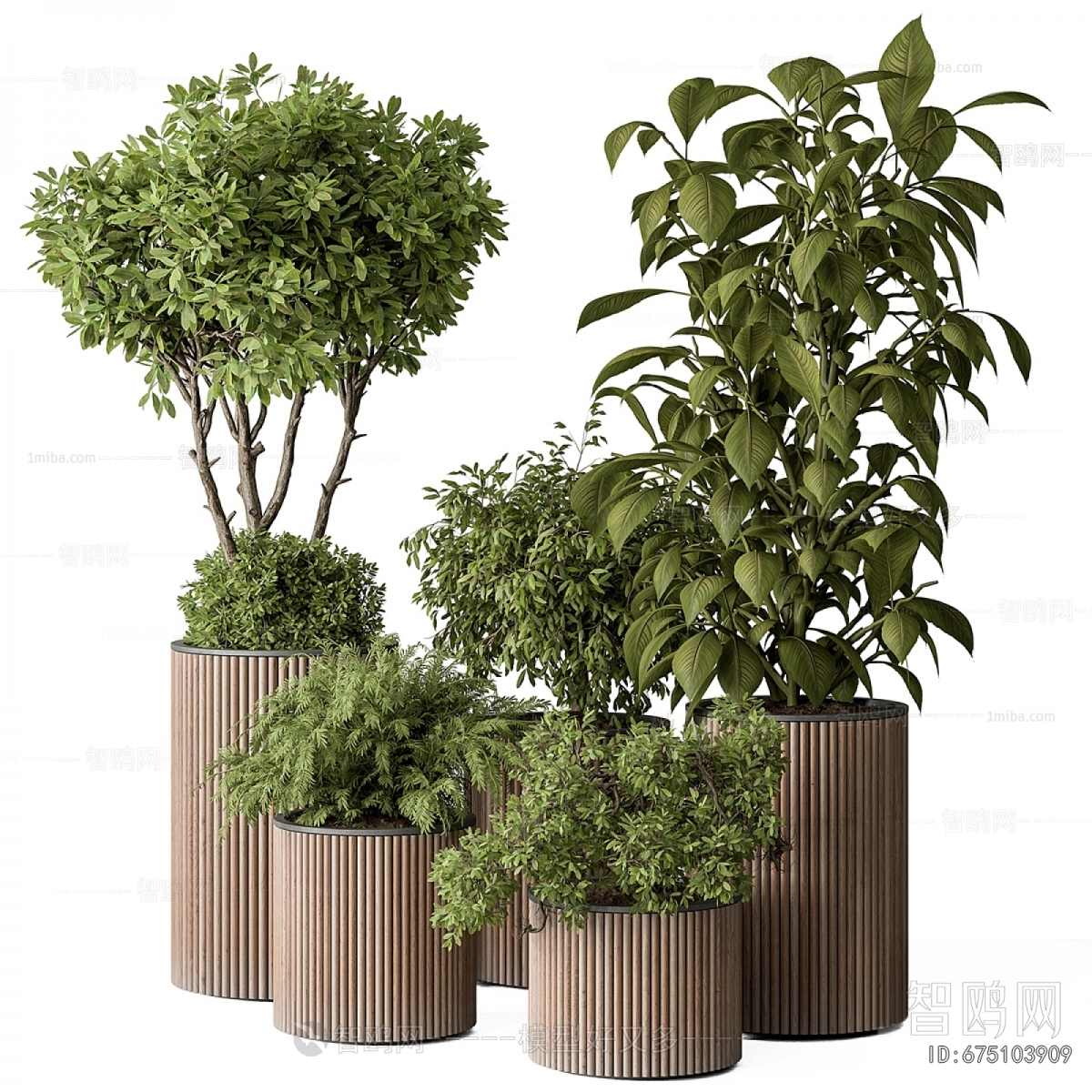 Modern Ground Green Plant Potted Plants