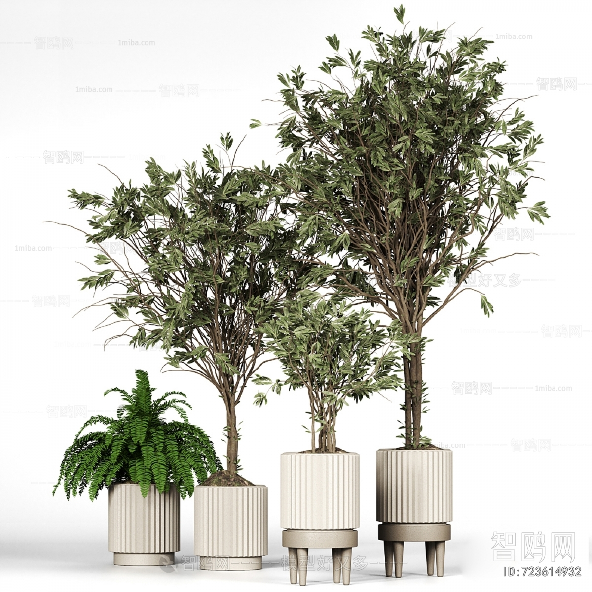 Modern Ground Green Plant Potted Plants