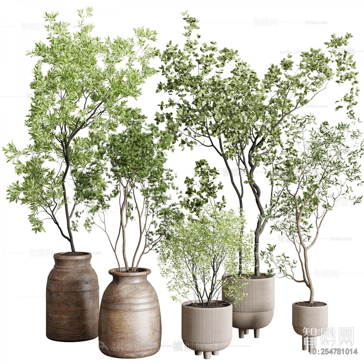 Modern Ground Green Plant Potted Plants