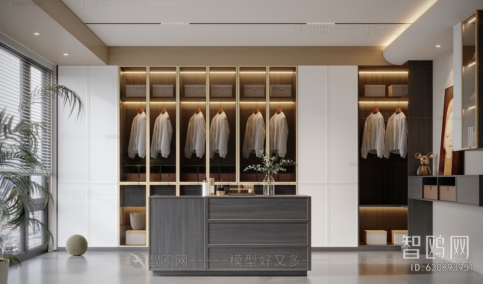 Modern Clothes Storage Area