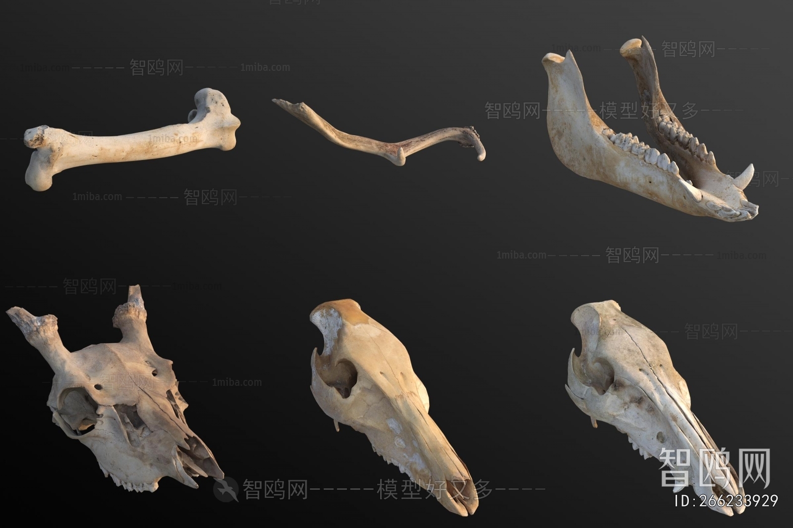 Modern Medical Equipment