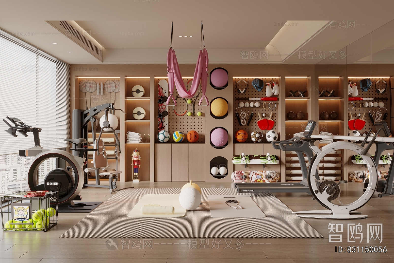 Modern Home Fitness Room