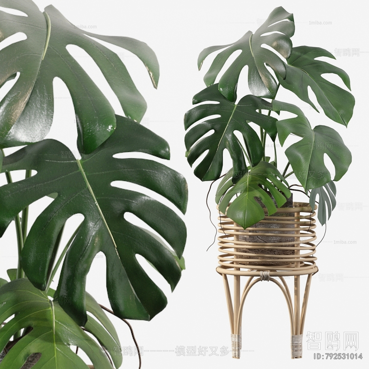 Modern Potted Green Plant