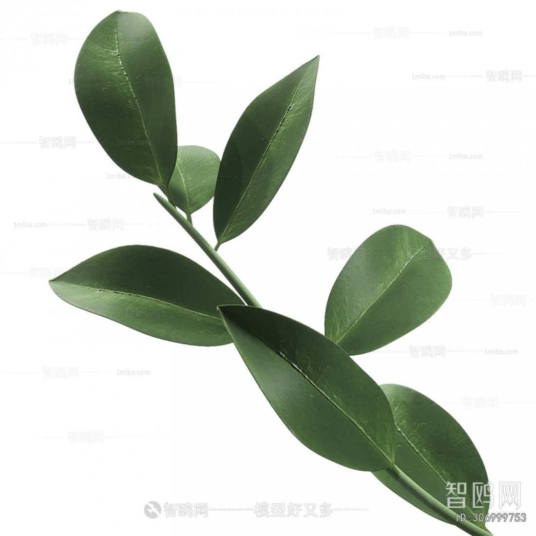 Modern Aquatic Green Plant