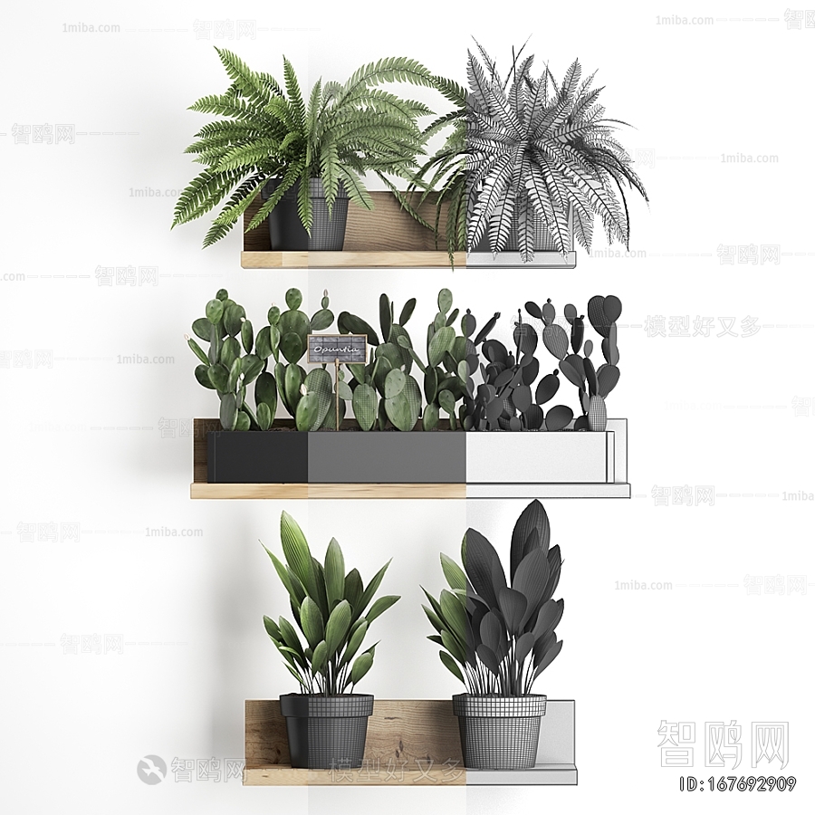 Modern Potted Green Plant