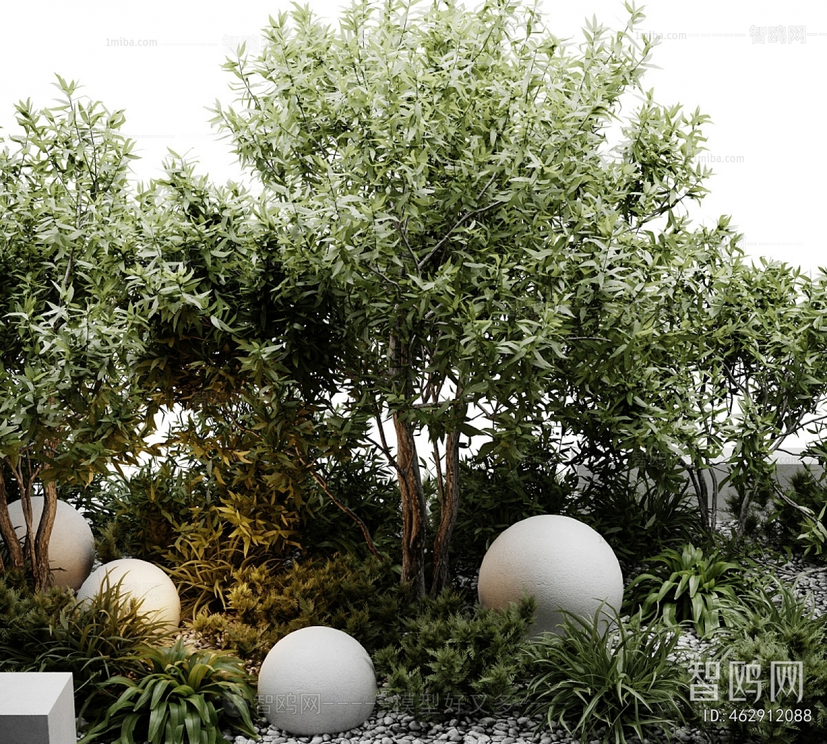 Modern Plant Landscaping