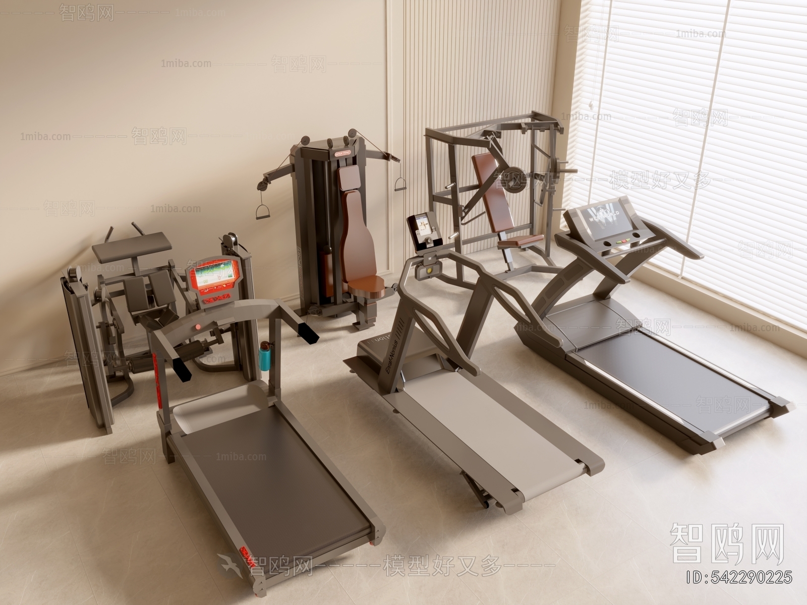 Modern Fitness Equipment