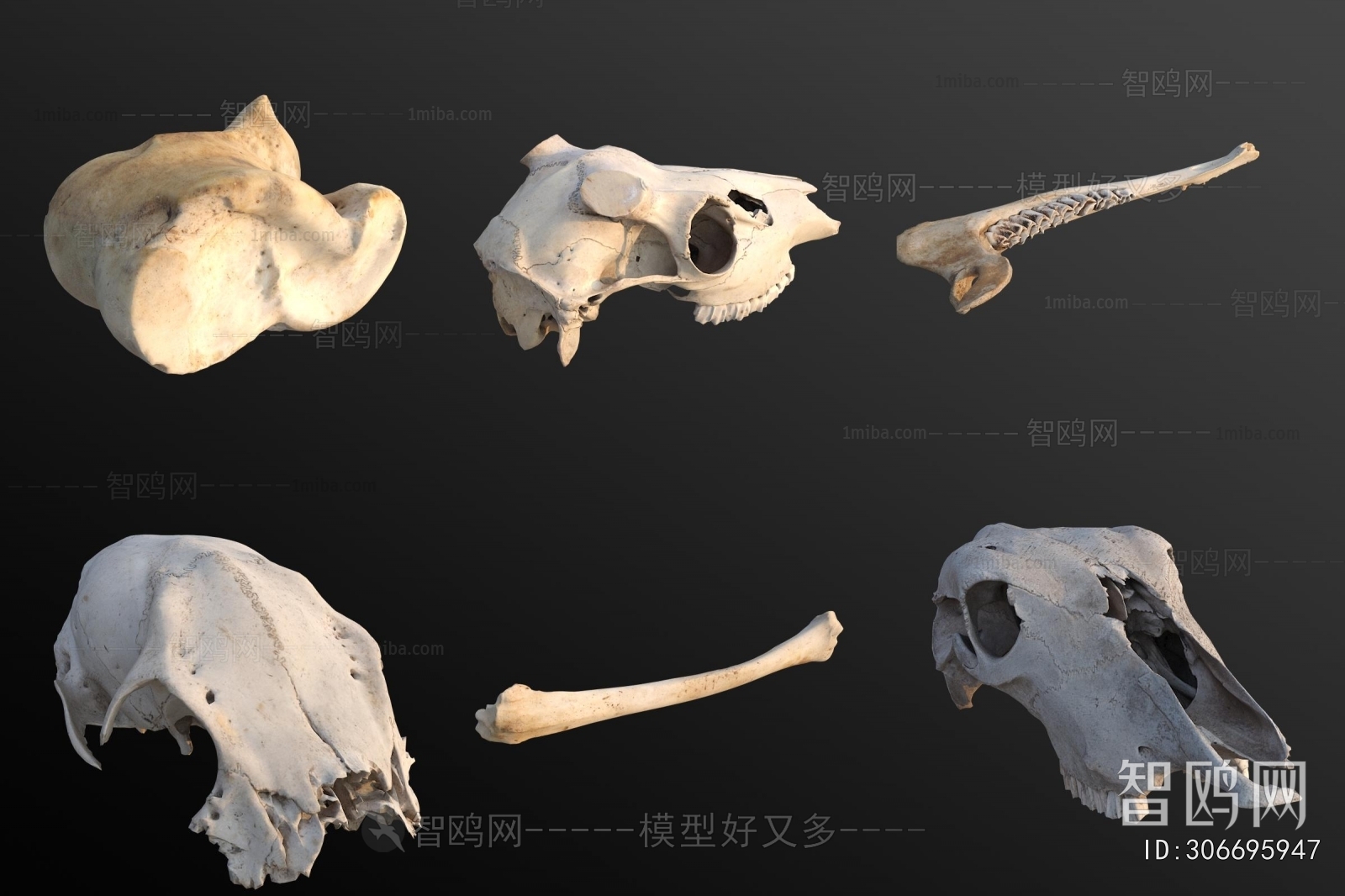 Modern Medical Equipment