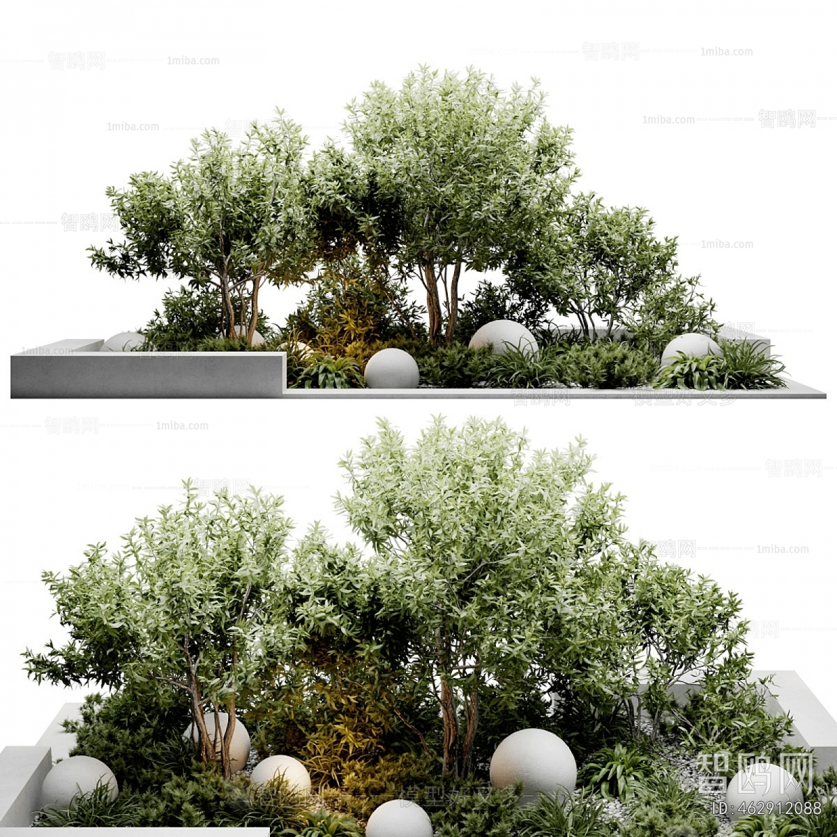 Modern Plant Landscaping