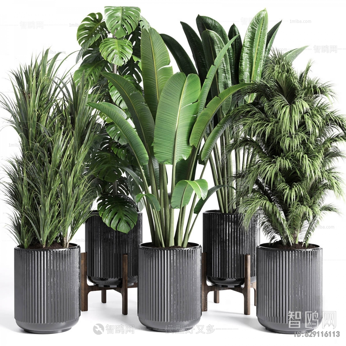 Modern Ground Green Plant Potted Plants