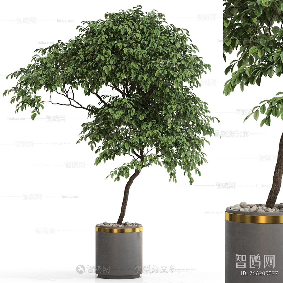 Modern Ground Green Plant Potted Plants