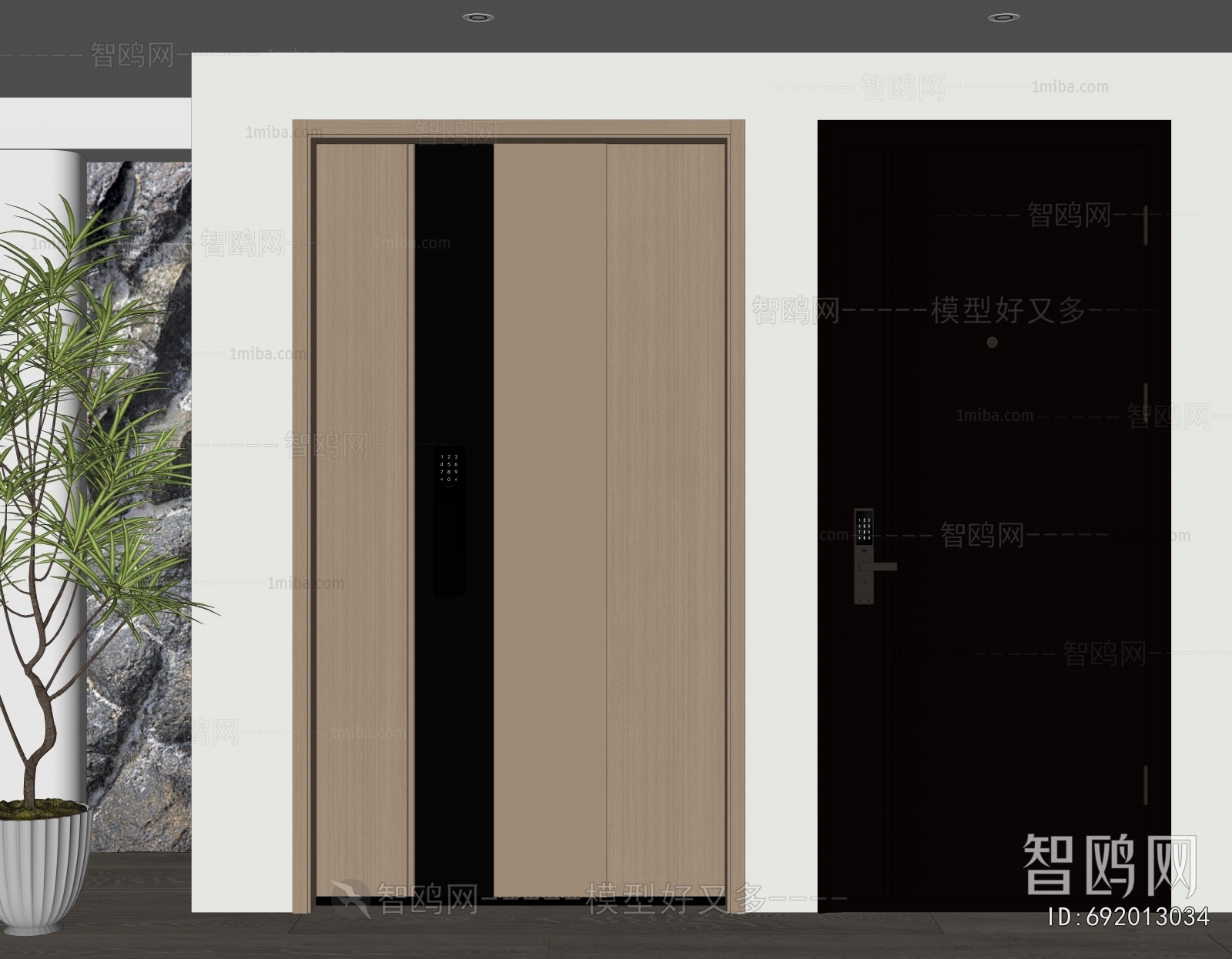 Modern Entrance Door