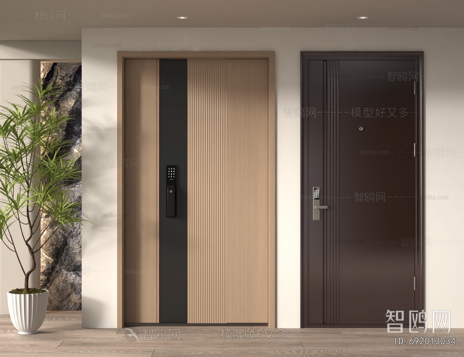 Modern Entrance Door