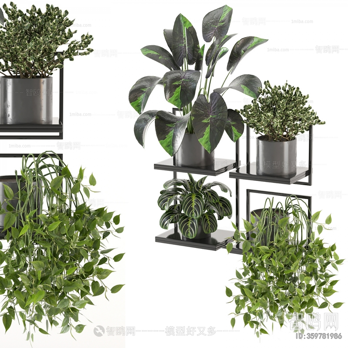 Modern Potted Green Plant