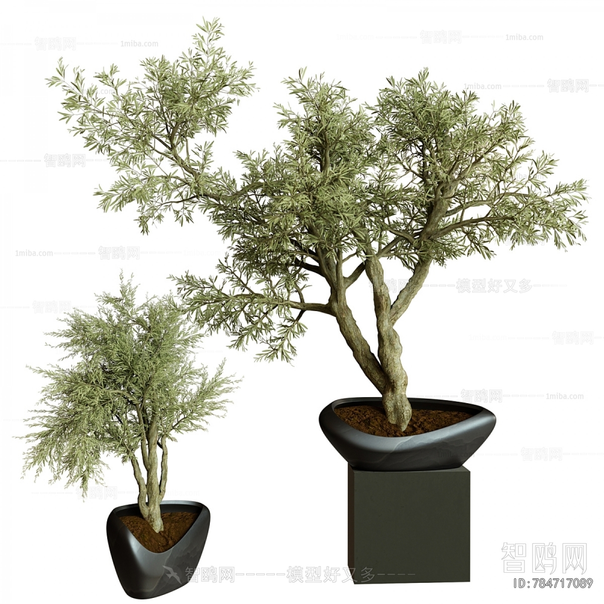 Modern Ground Green Plant Potted Plants