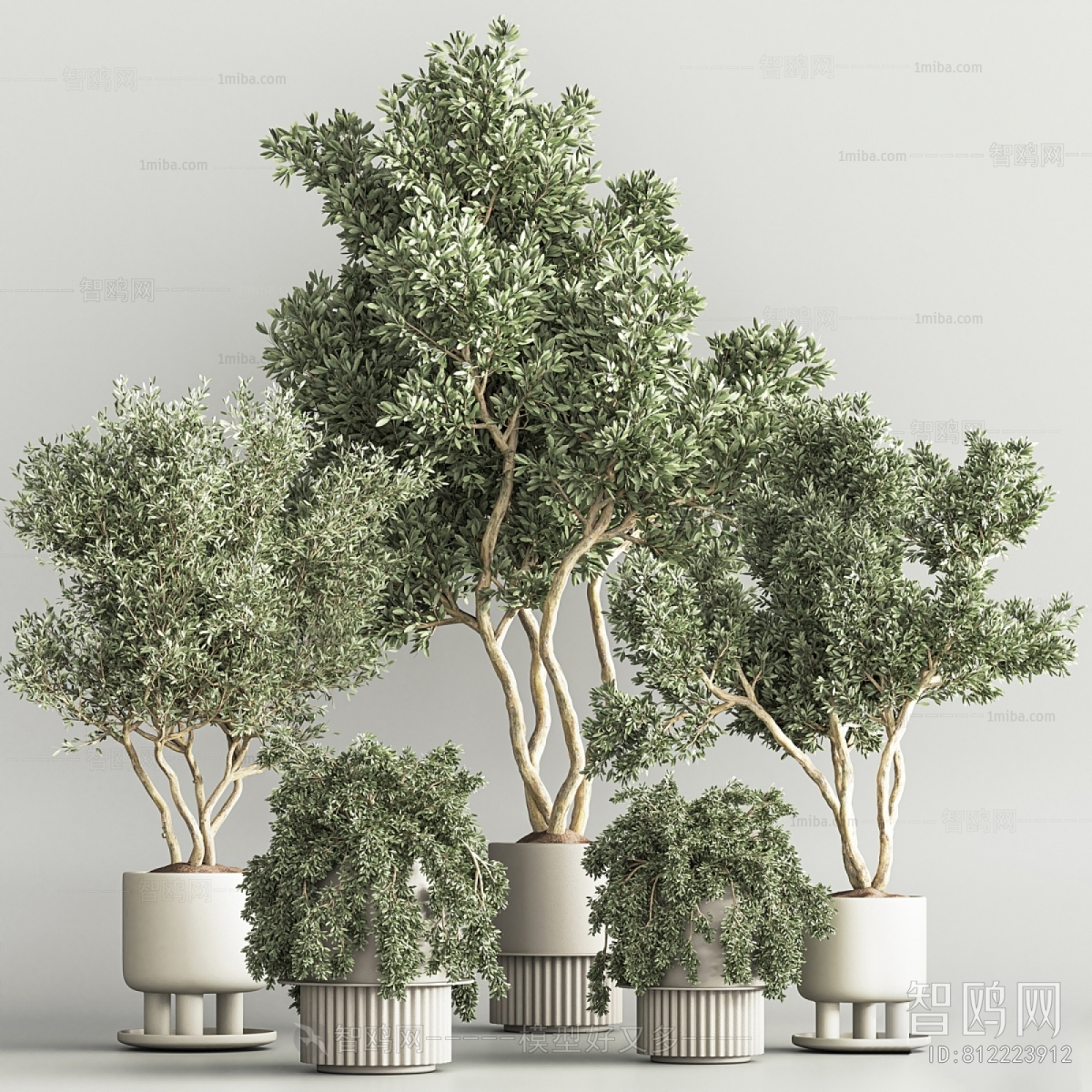 Modern Ground Green Plant Potted Plants