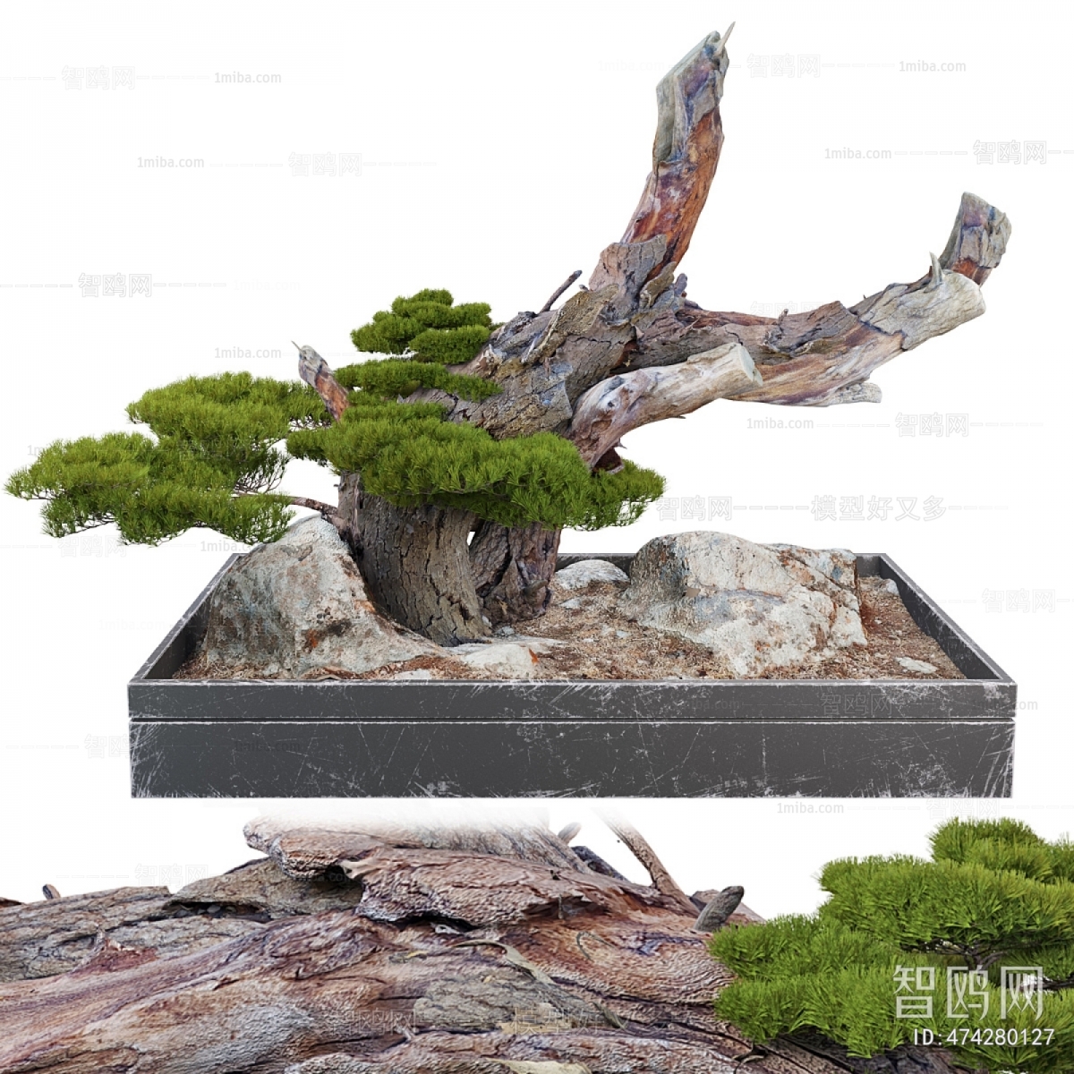 New Chinese Style Bonsai