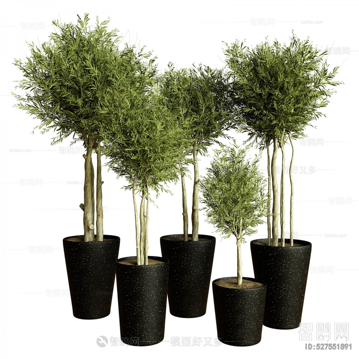 Modern Ground Green Plant Potted Plants