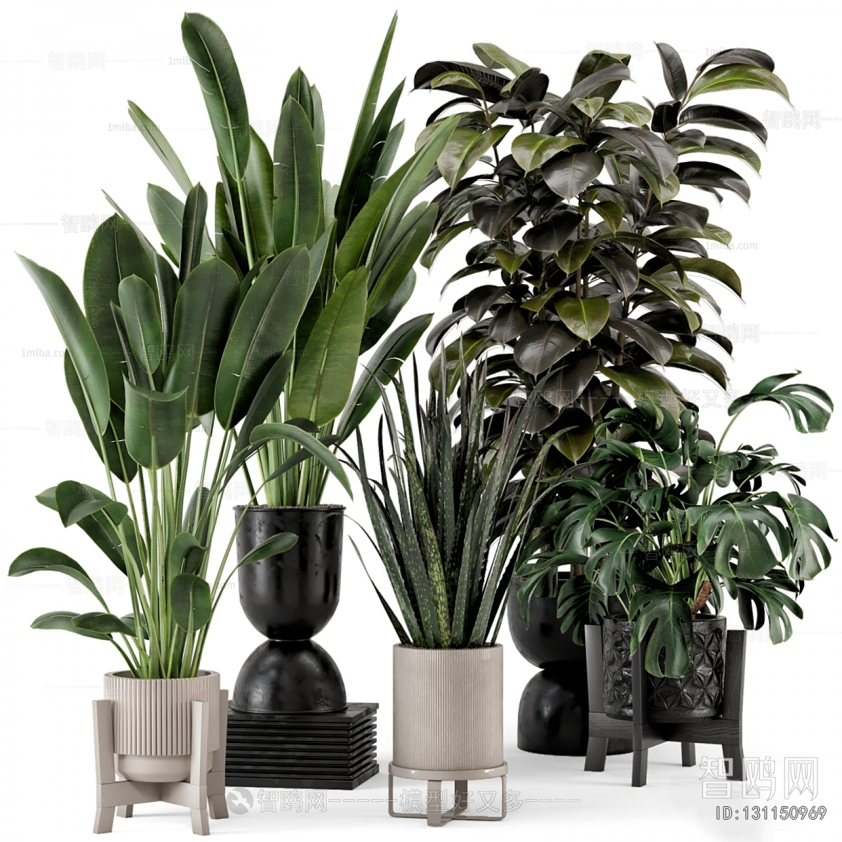 Modern Ground Green Plant Potted Plants