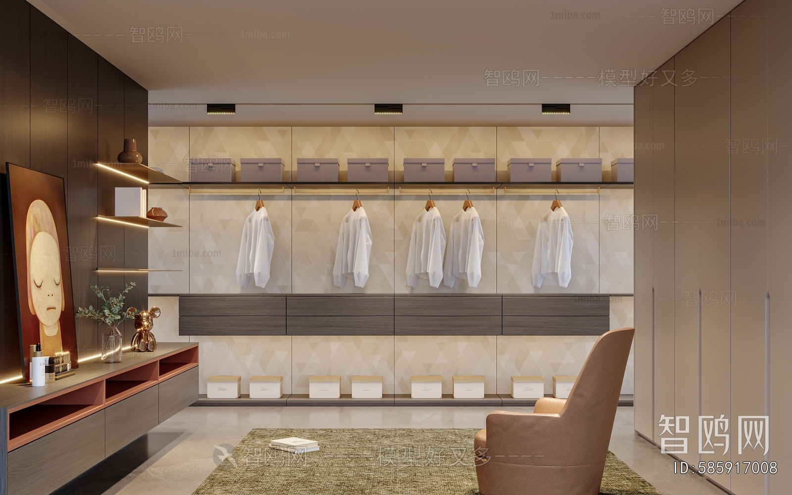 Modern Clothes Storage Area