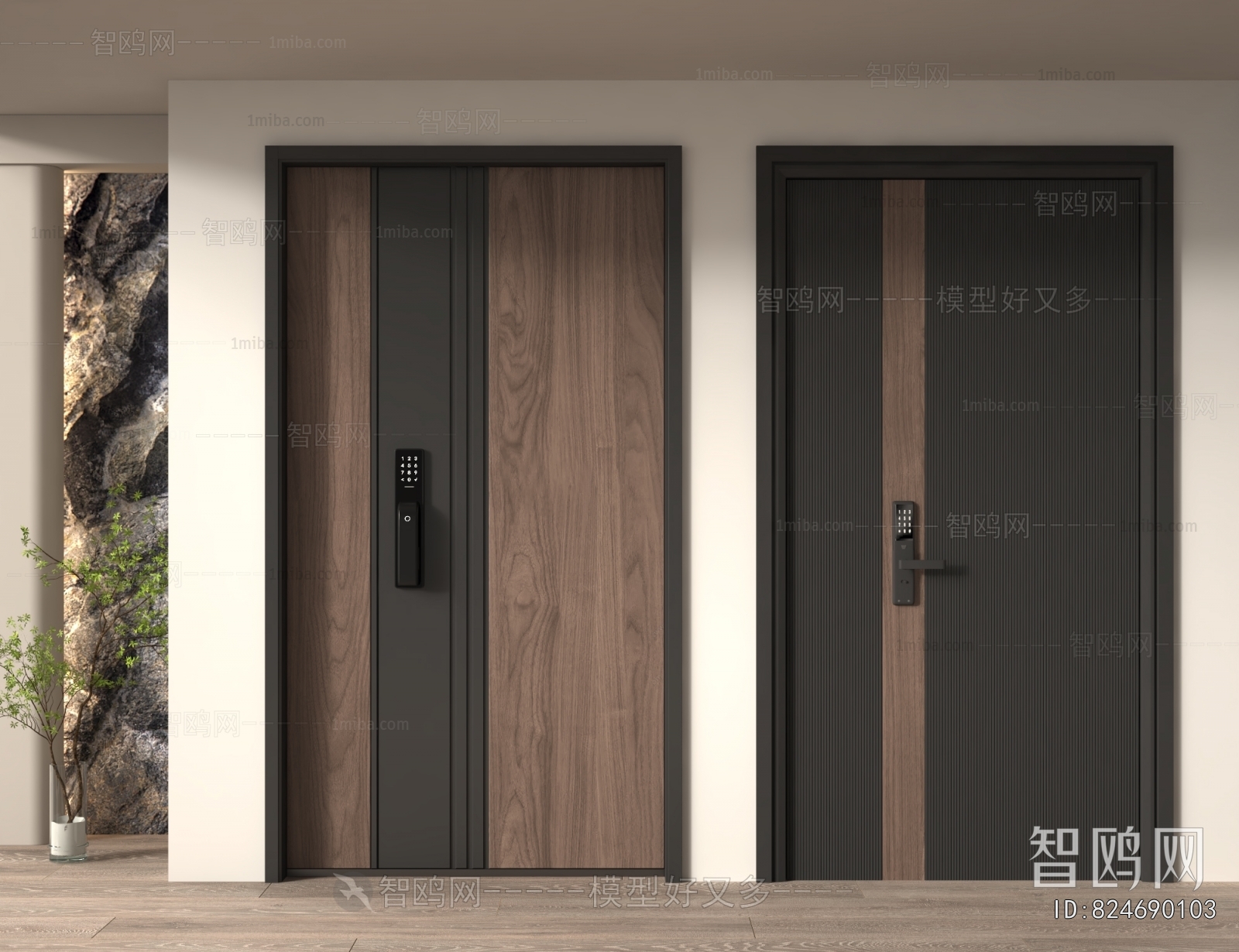 Modern Entrance Door