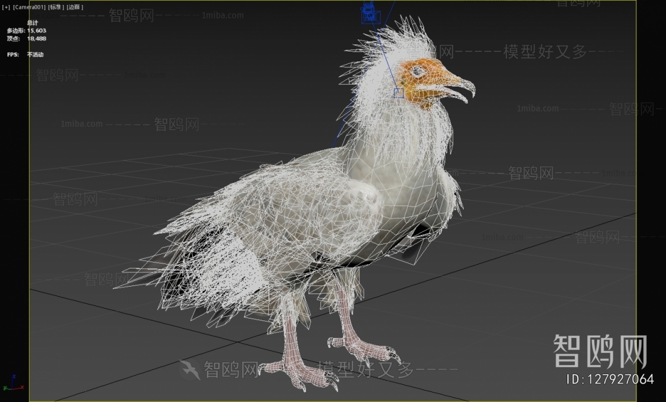 Modern Flying Animals