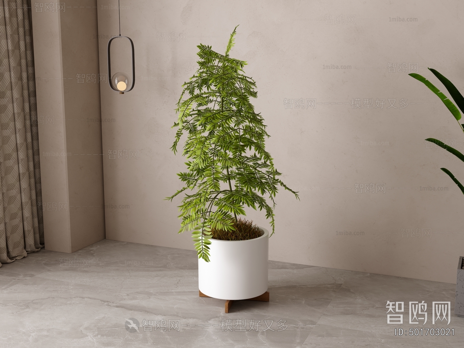 Modern Ground Green Plant Potted Plants