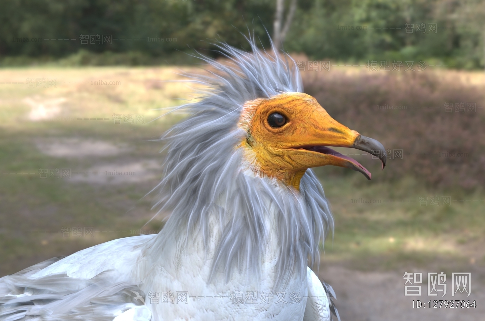 Modern Flying Animals