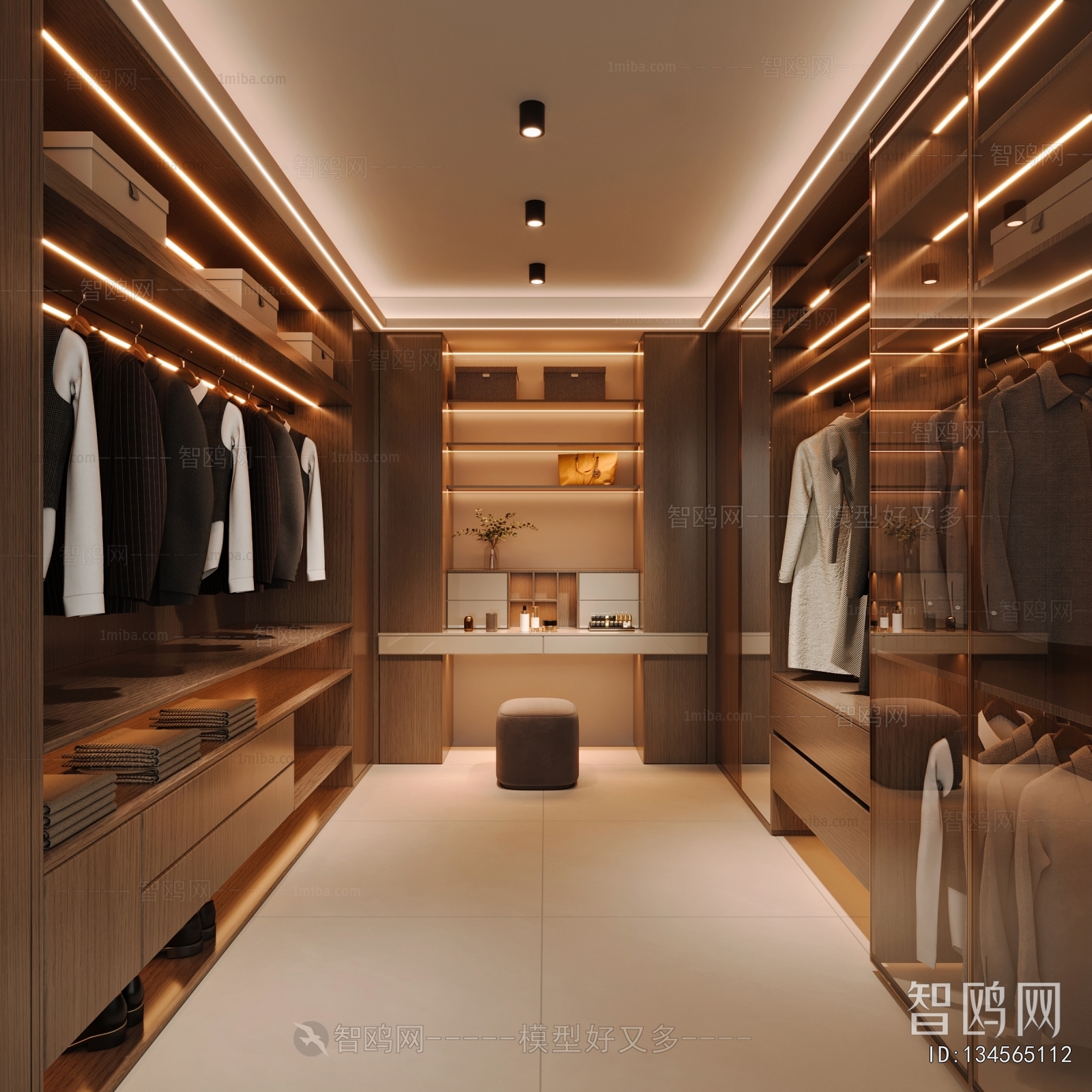 Modern Clothes Storage Area