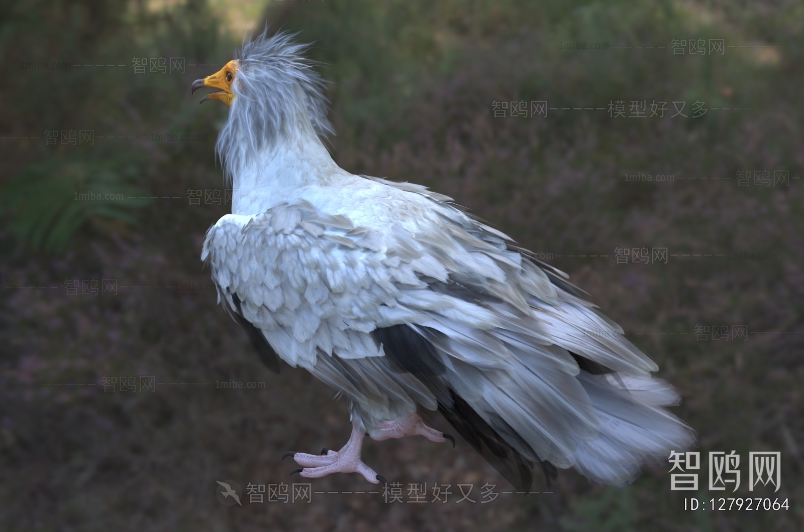 Modern Flying Animals