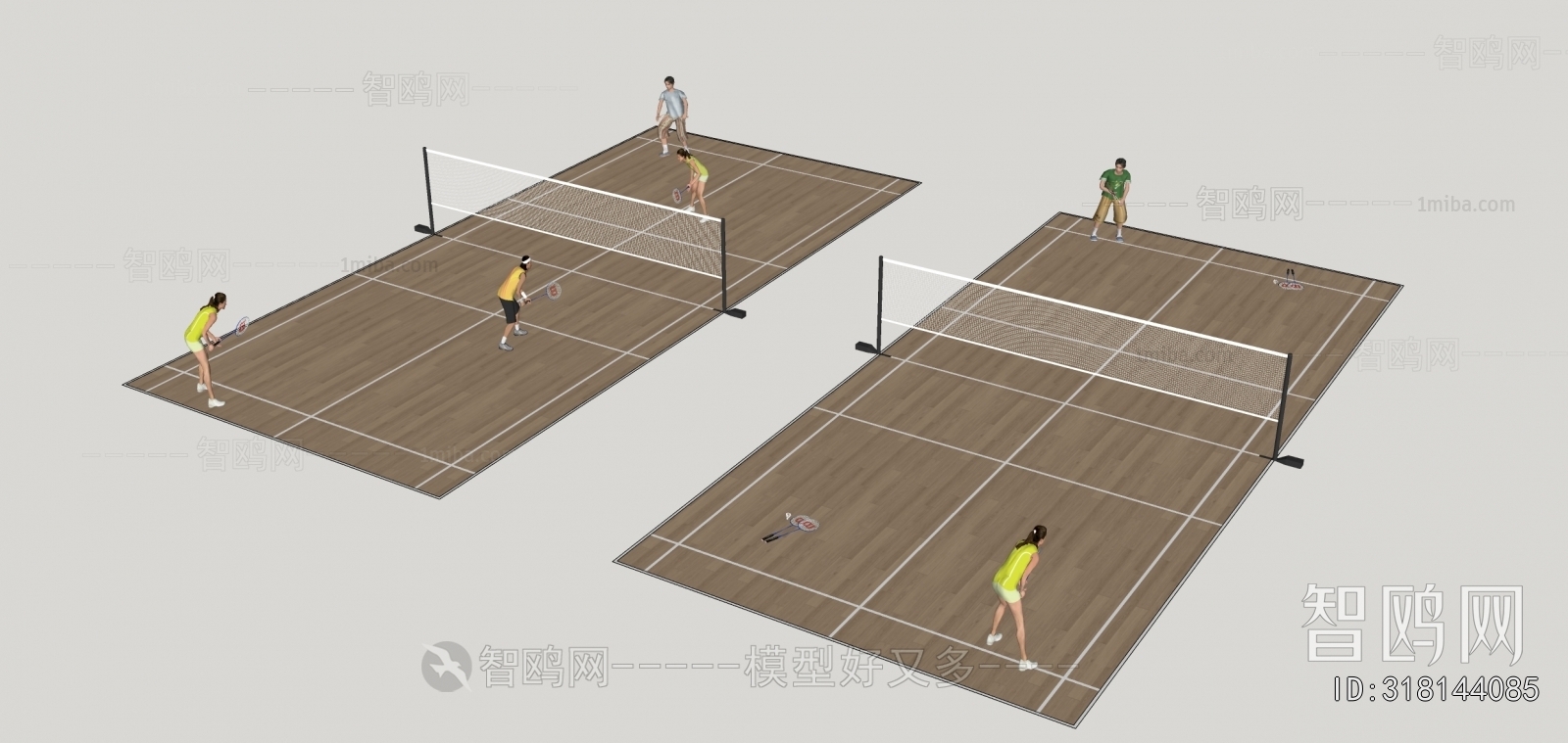 Modern Indoor Badminton Court