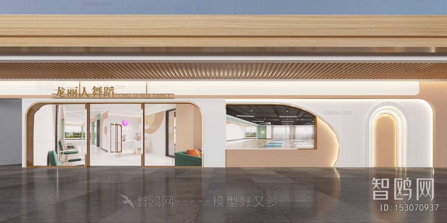 Modern Facade Element