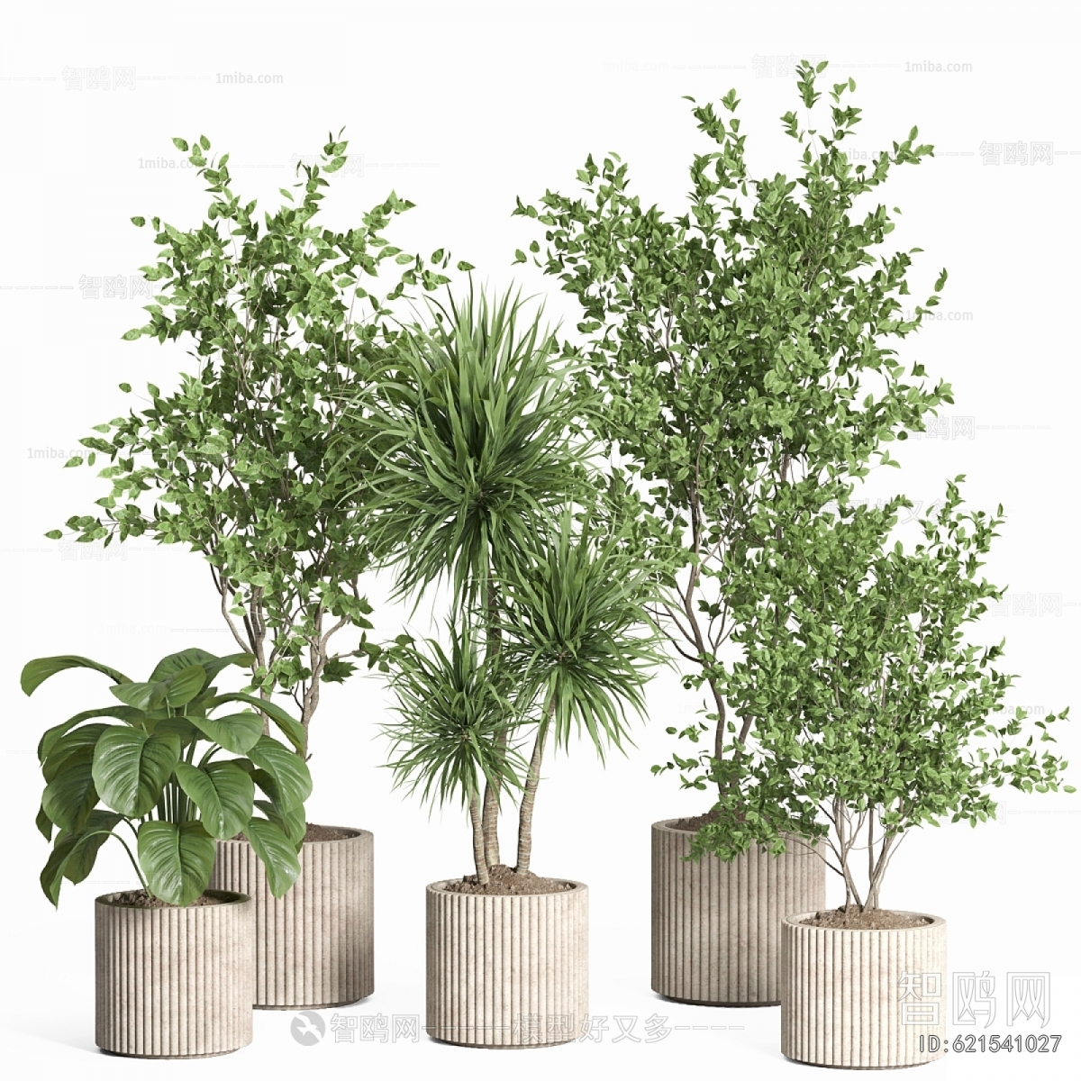 Modern Ground Green Plant Potted Plants