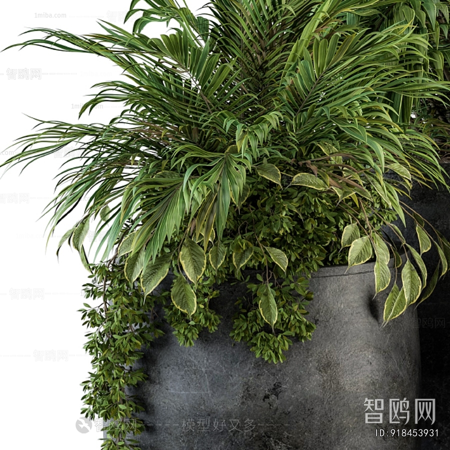 Modern Ground Green Plant Potted Plants