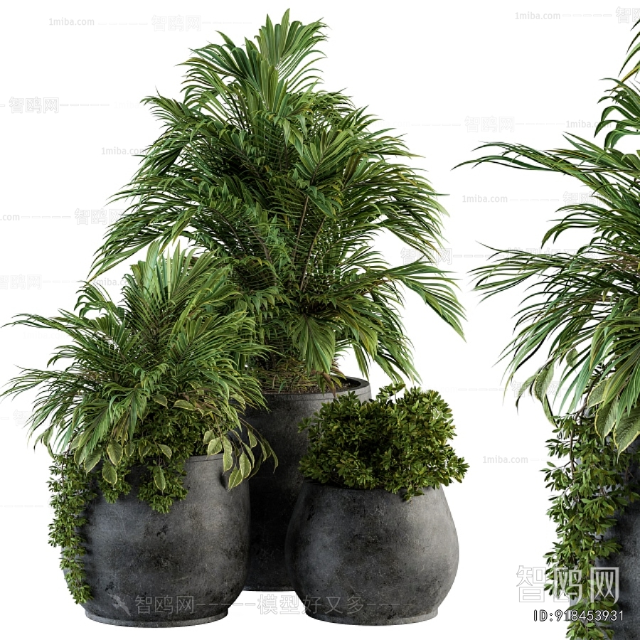 Modern Ground Green Plant Potted Plants