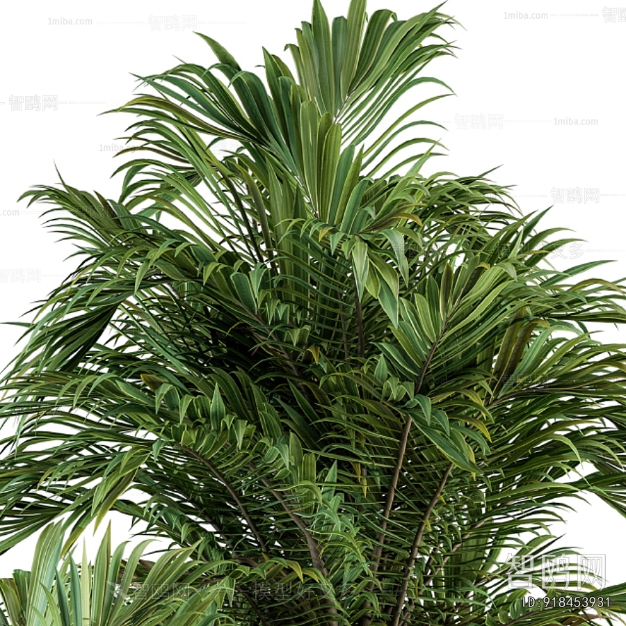 Modern Ground Green Plant Potted Plants