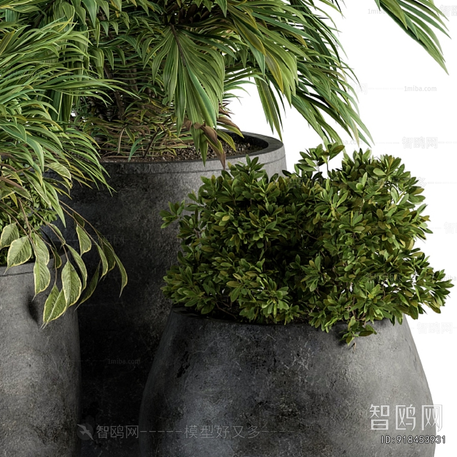 Modern Ground Green Plant Potted Plants
