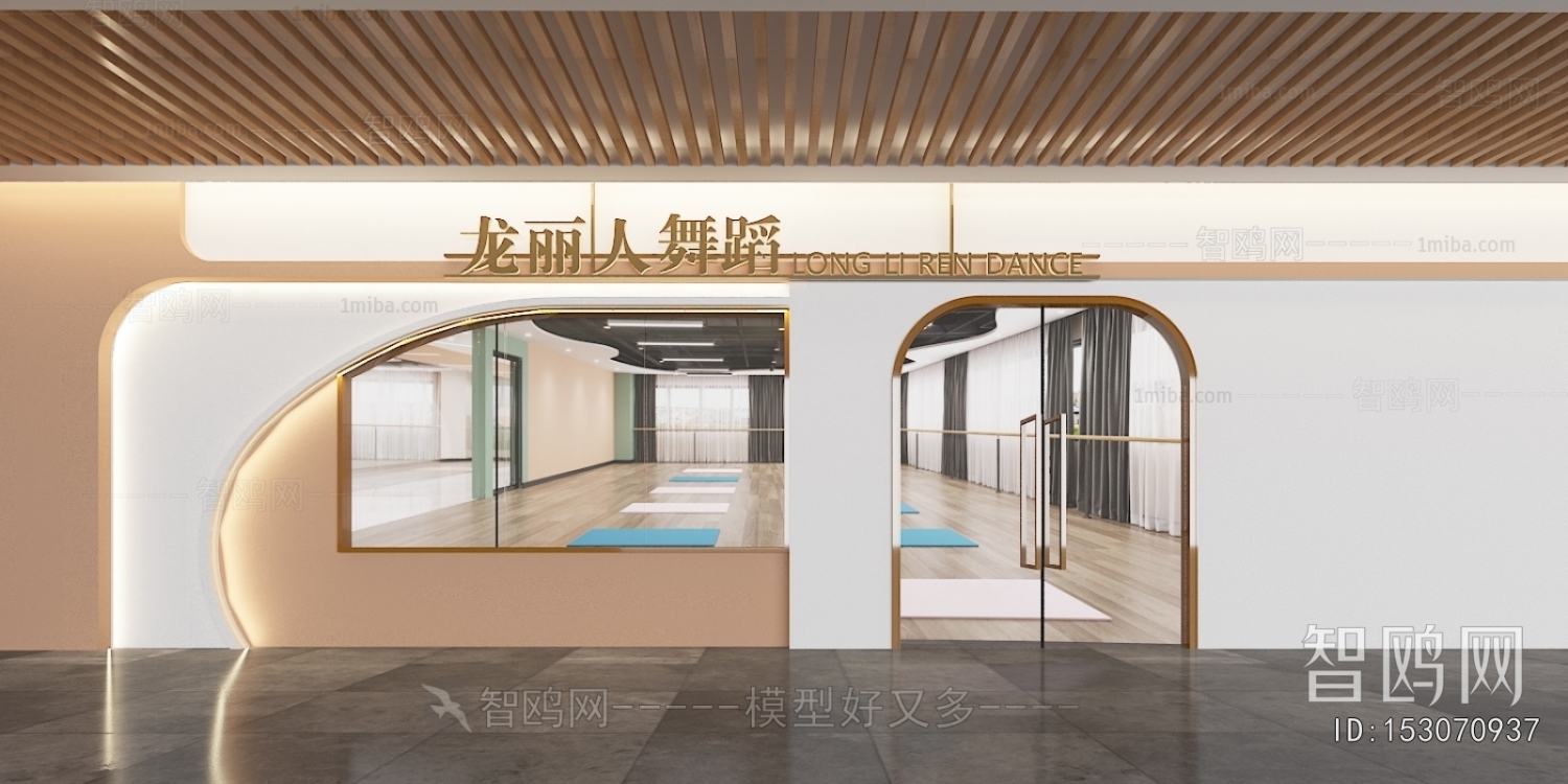 Modern Facade Element