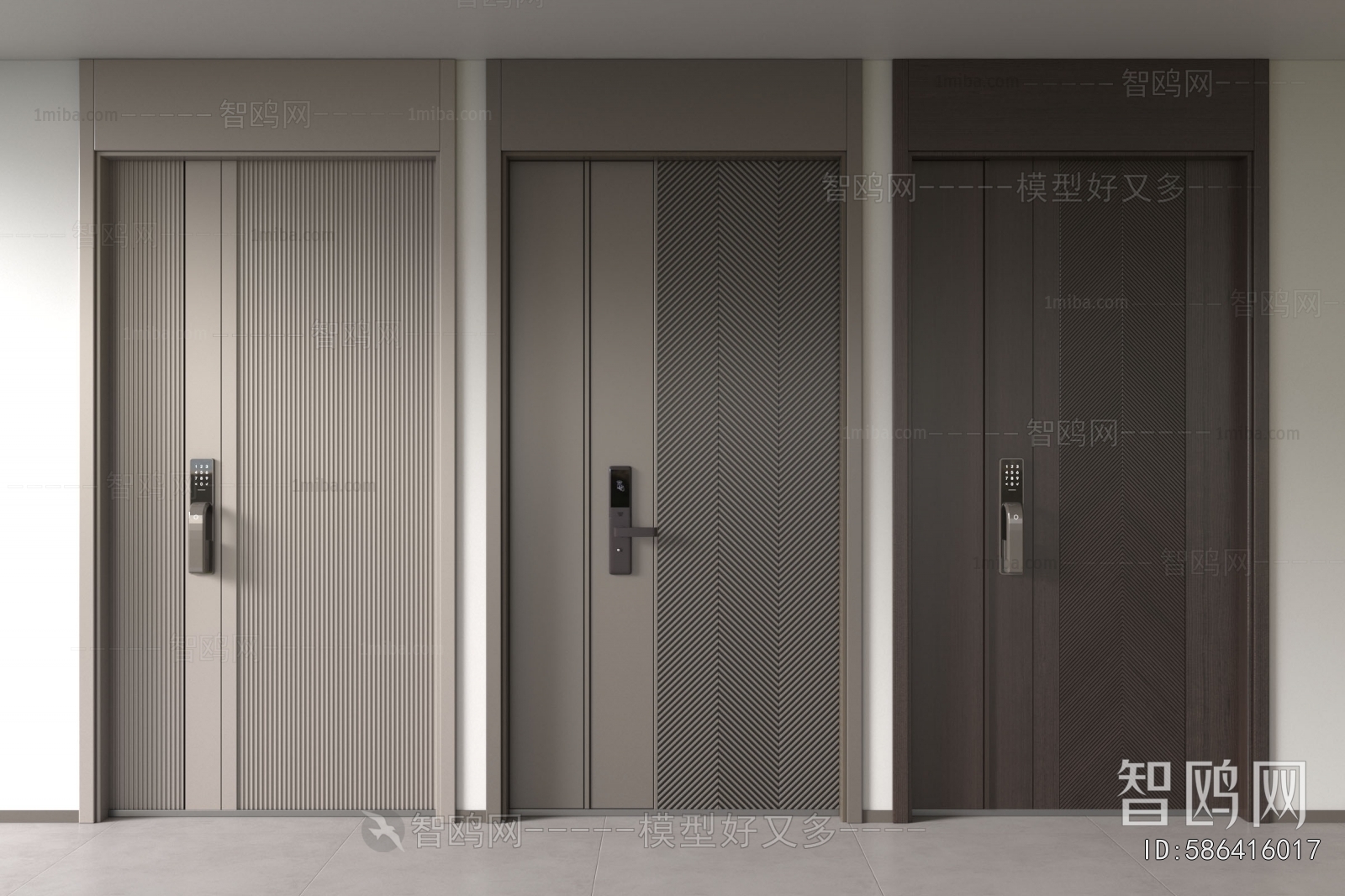 Modern Entrance Door