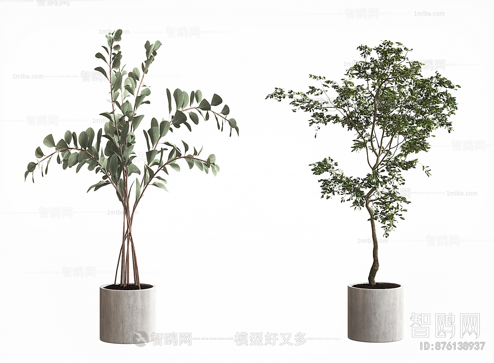 Modern Ground Green Plant Potted Plants
