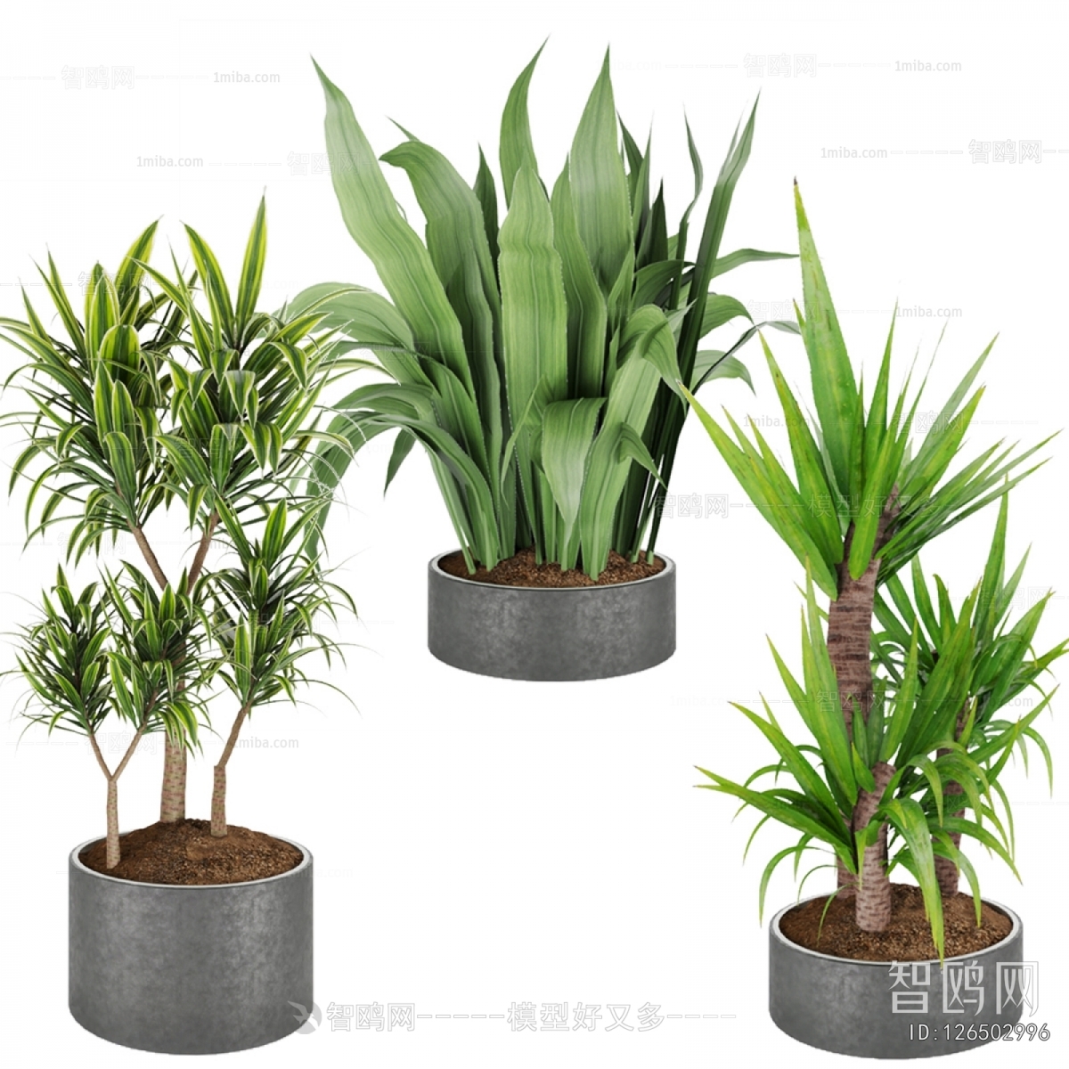 Modern Ground Green Plant Potted Plants
