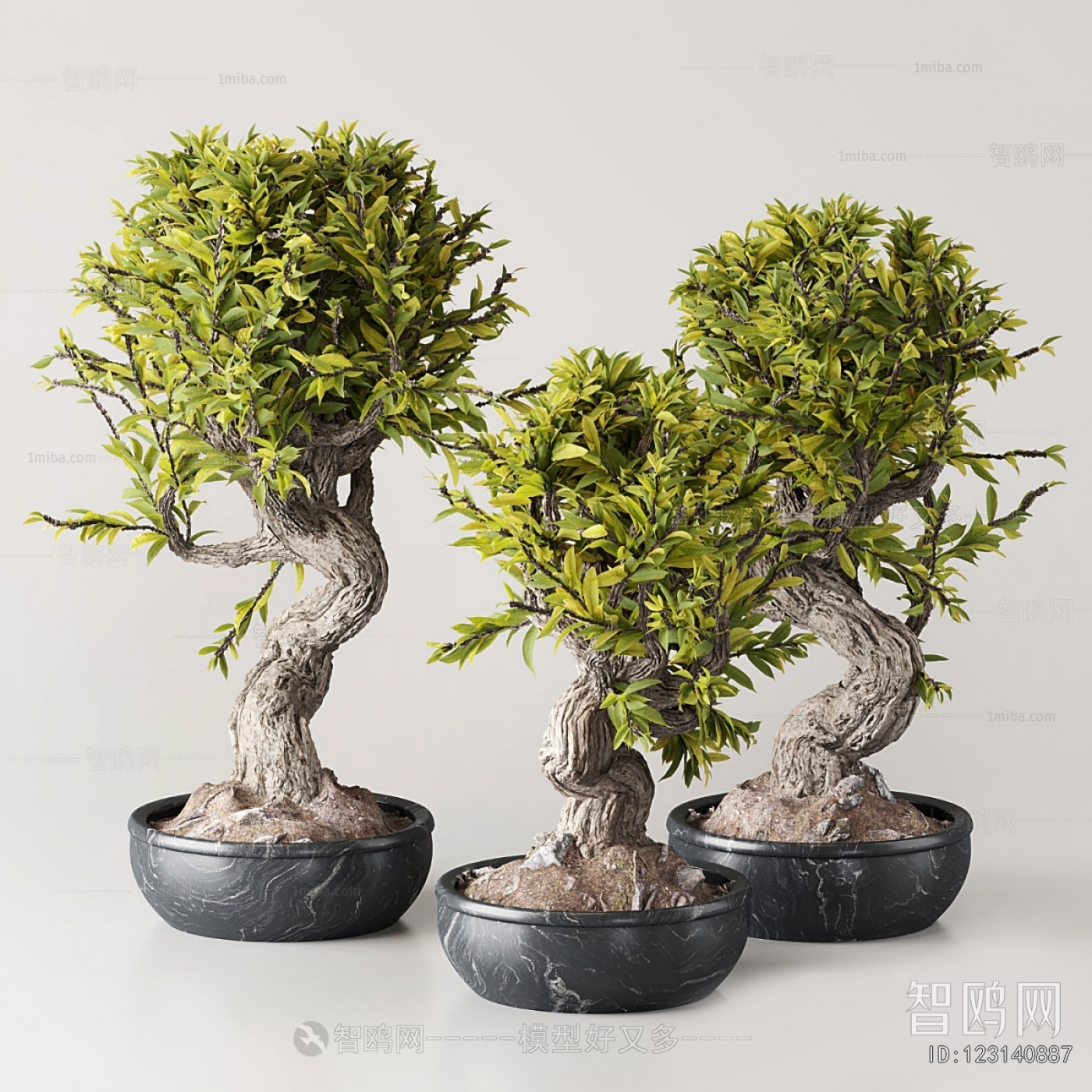 New Chinese Style Bonsai