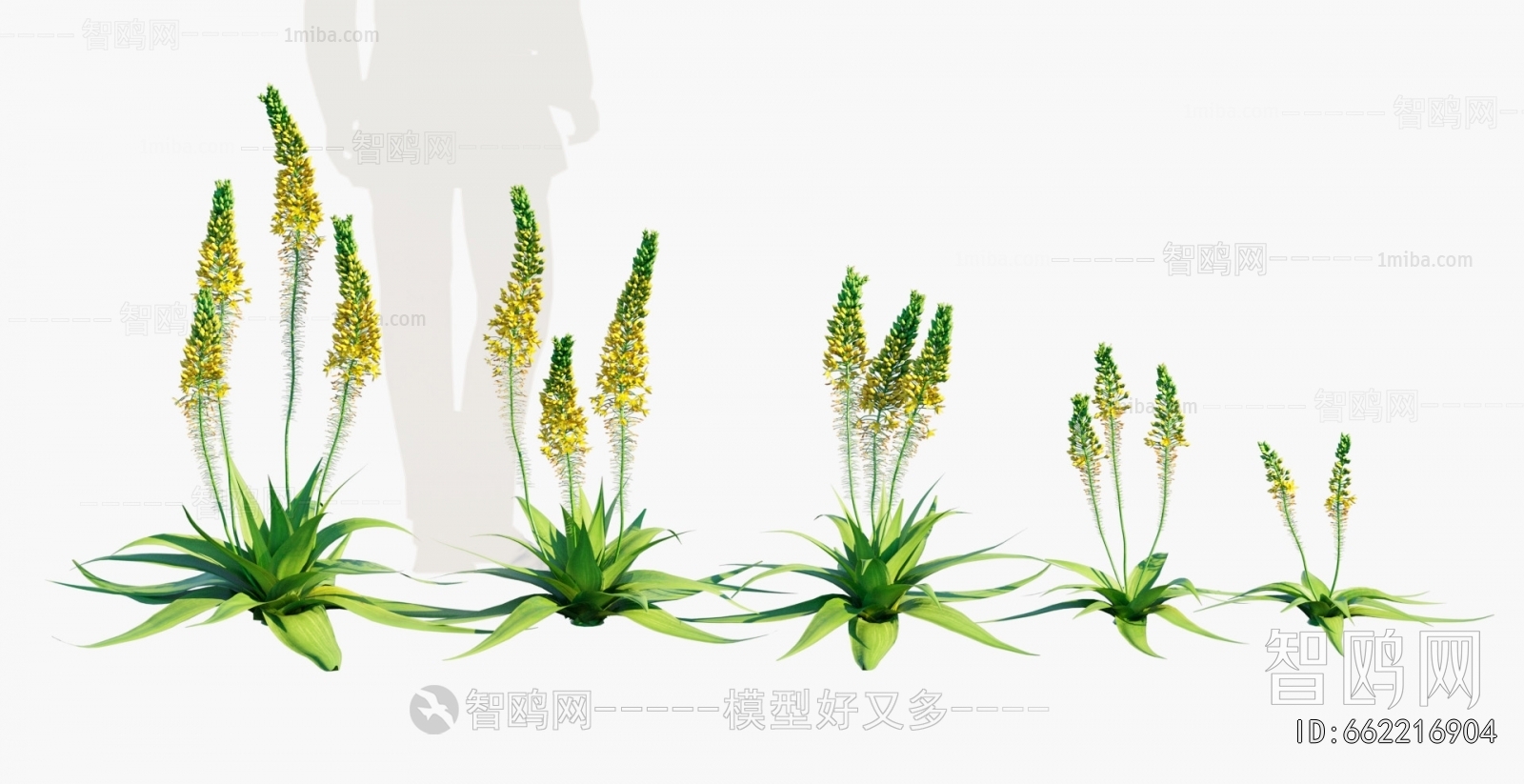 Modern Flowers And Grass