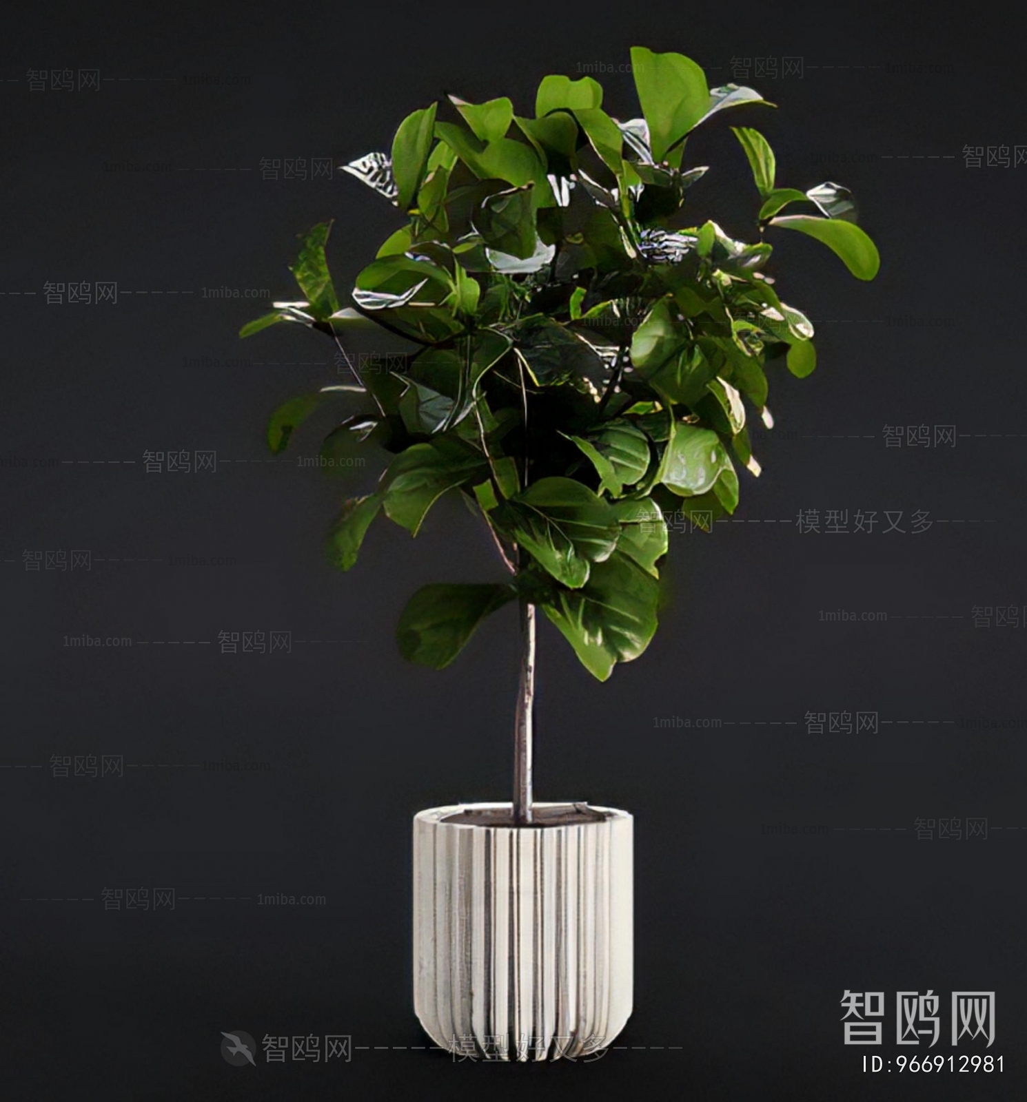 Modern Ground Green Plant Potted Plants