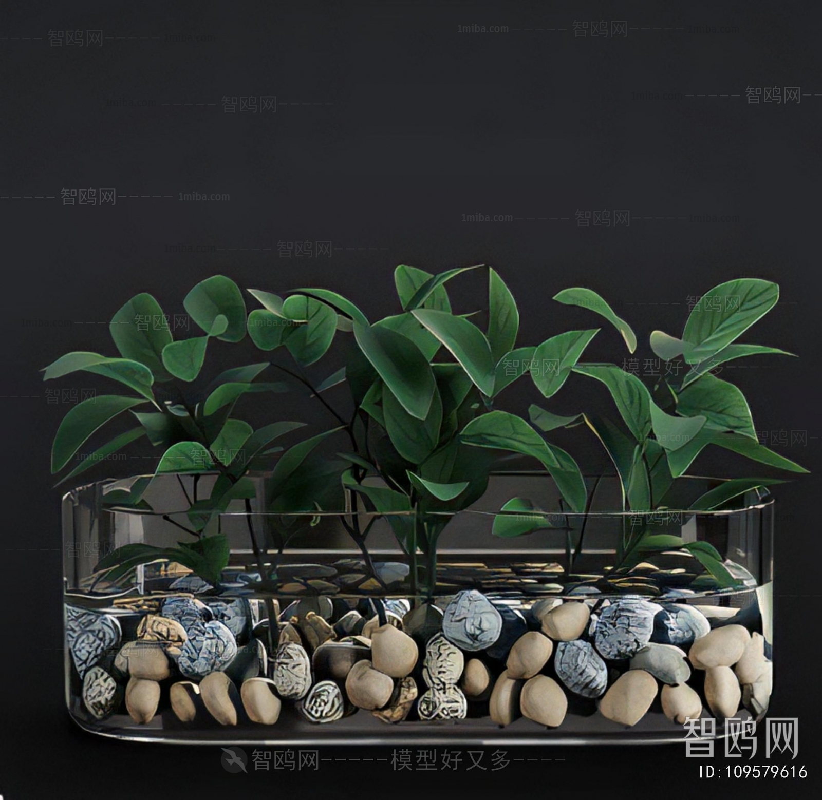 Modern Aquatic Green Plant