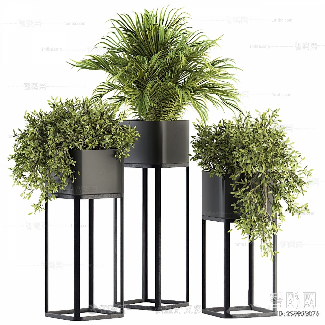 Modern Potted Green Plant